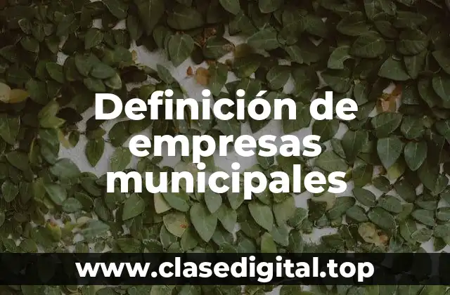 Definición de empresas municipales