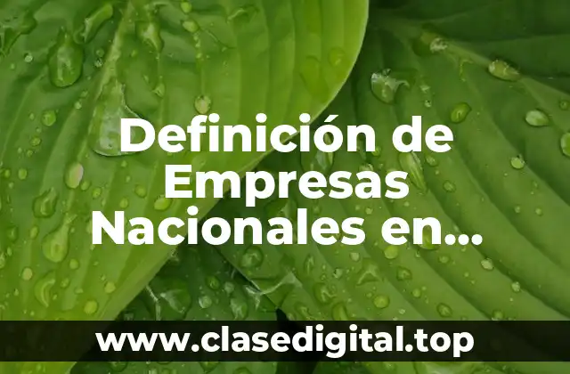 Ejemplos de empresas nacionales en Argentina