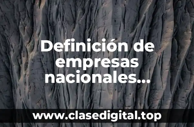 📗 Definición técnica de empresas nacionales