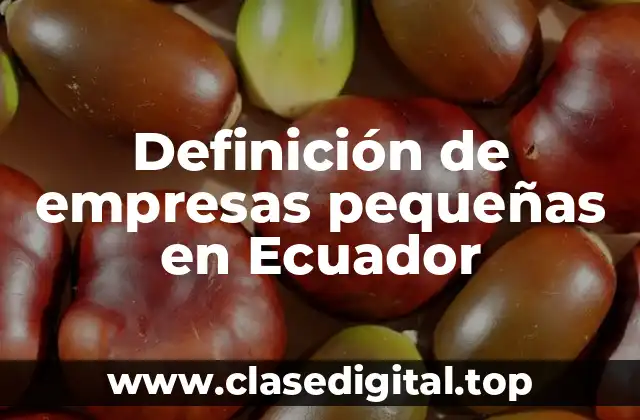 Definición de empresas pequeñas en Ecuador