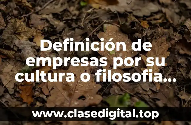 Definición de empresas por su cultura o filosofia organizacional