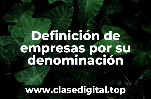 Definición de empresas por su denominación