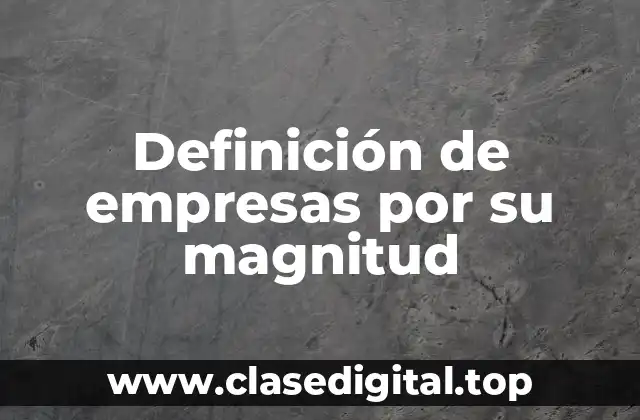 Definición de empresas por su magnitud