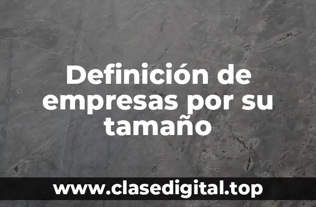 Definición de empresas por su tamaño