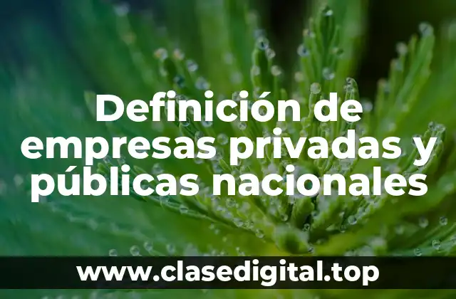 Definición de empresas privadas y públicas nacionales