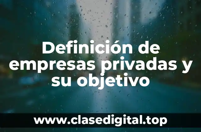 Definición de empresas privadas y su objetivo