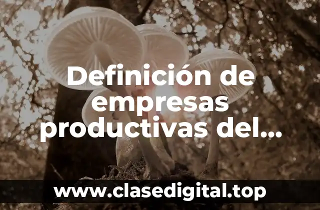 Definición de empresas productivas del Estado