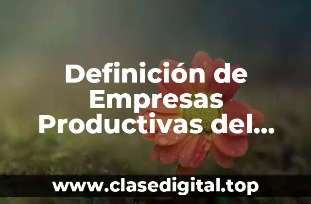 Definición de Empresas Productivas del Gobierno