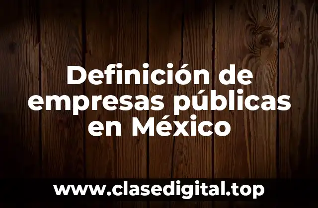 ✅ Definición técnica de empresas públicas en México