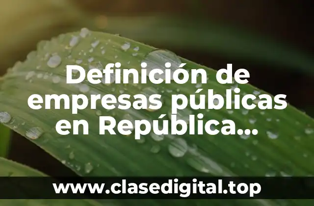 Definición de empresas públicas en República Dominicana