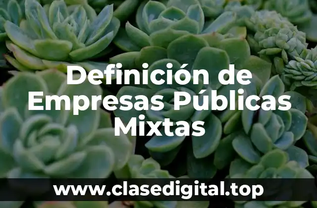 Definición de Empresas Públicas Mixtas
