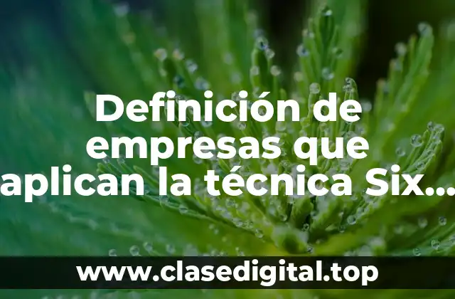 Definición de empresas que aplican la técnica Six Sigma