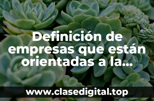 Ejemplos de empresas que están orientadas a la competencia