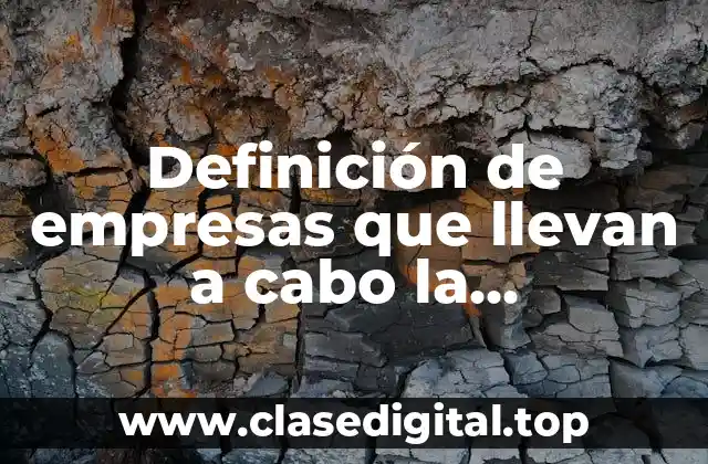 Definición de empresas que llevan a cabo la planificación táctica