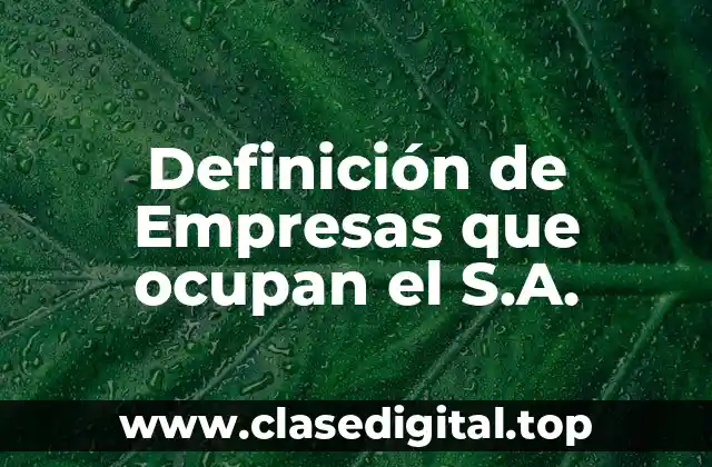 Ejemplos de empresas que ocupan el S.A.