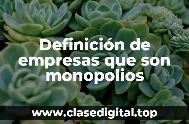 Definición de empresas que son monopolios
