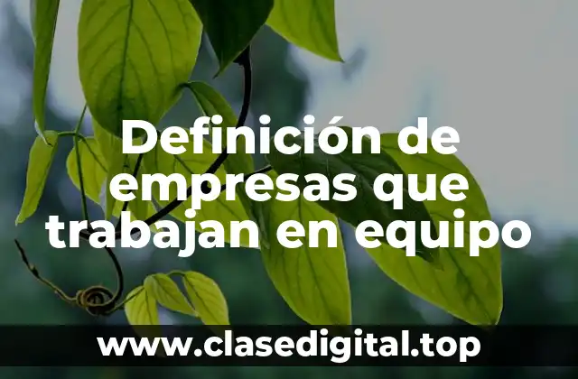 Definición de empresas que trabajan en equipo