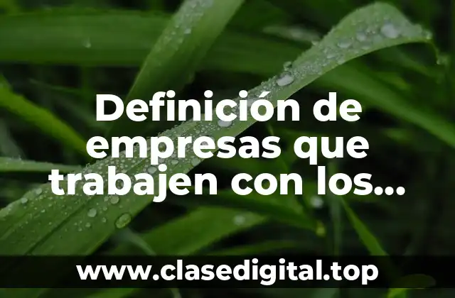 Definición de empresas que trabajen con los tipos de producción