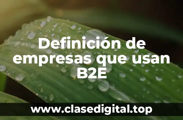 Definición de empresas que usan B2E