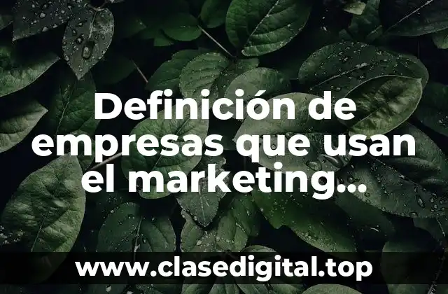 Ejemplos de empresas que usan el marketing concentrado