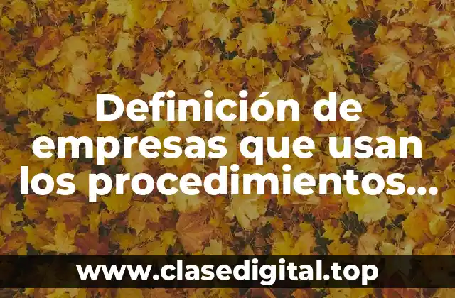 Definición de empresas que usan los procedimientos por procesos