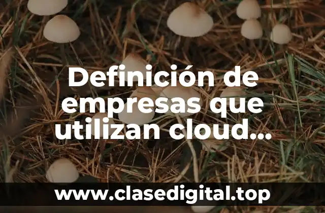 Definición de empresas que utilizan cloud computing