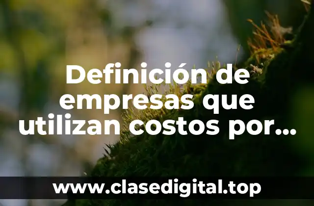 Definición de empresas que utilizan costos por procesos