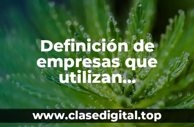 Definición de empresas que utilizan empowerment en México