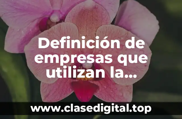 Definición de empresas que utilizan la organización staff