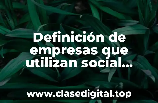 Definición de empresas que utilizan social marketing digital