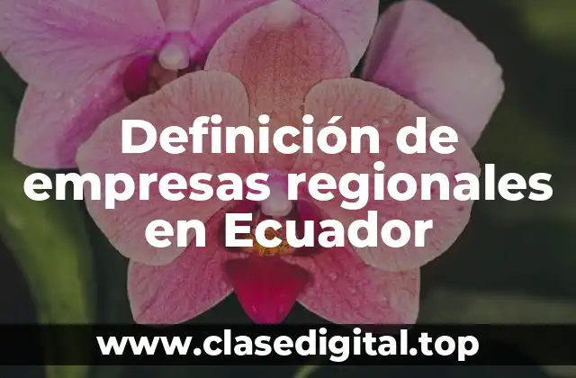 Definición de empresas regionales en Ecuador