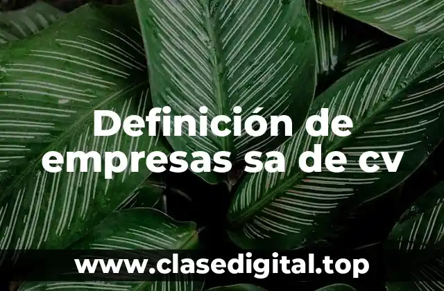Definición de empresas sa de cv