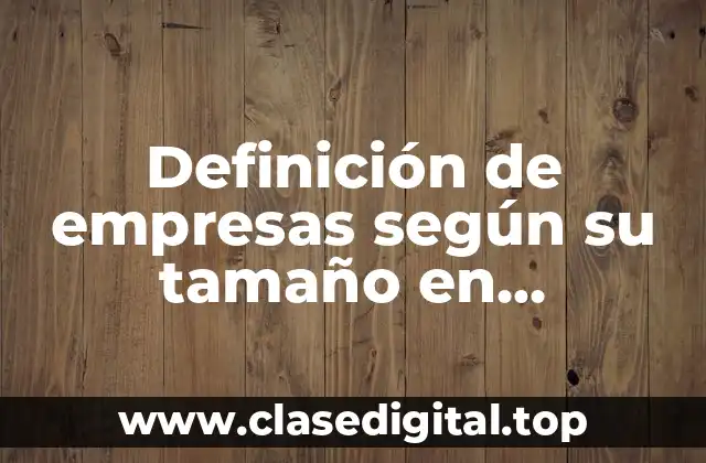 Ejemplos de empresas según su tamaño en Argentina