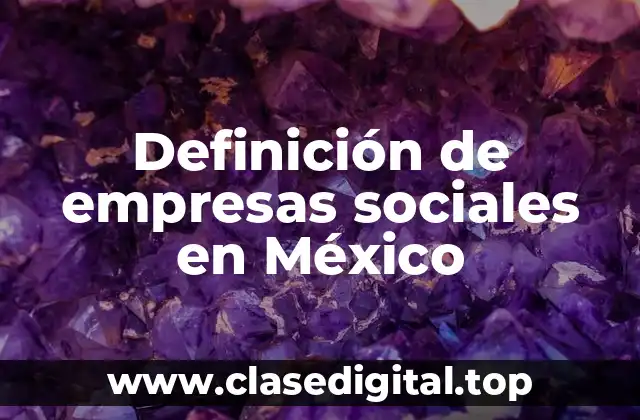 Definición de empresas sociales en México