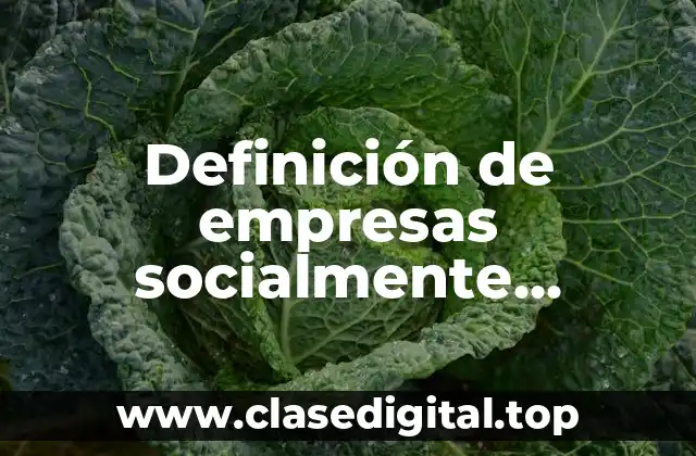 Ejemplos de empresas socialmente responsables en Argentina