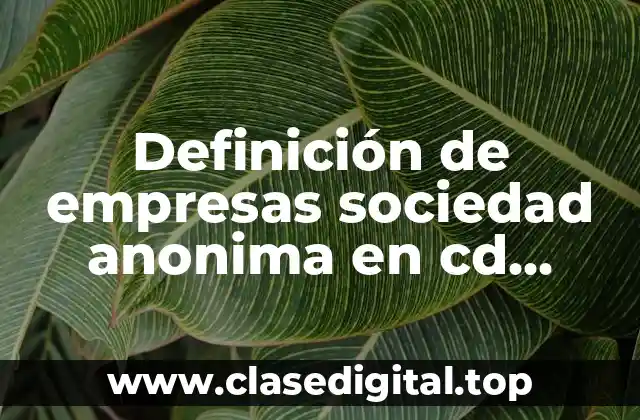 Definición de empresas sociedad anonima en cd juarez
