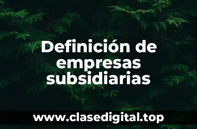Definición de empresas subsidiarias
