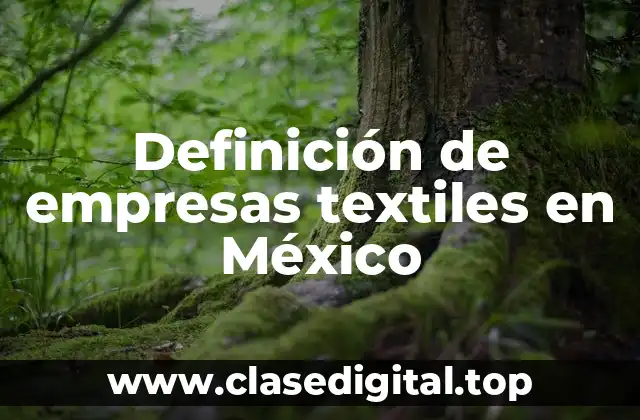 Definición de empresas textiles en México