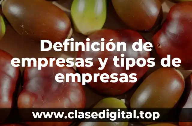 Definición de empresas y tipos de empresas