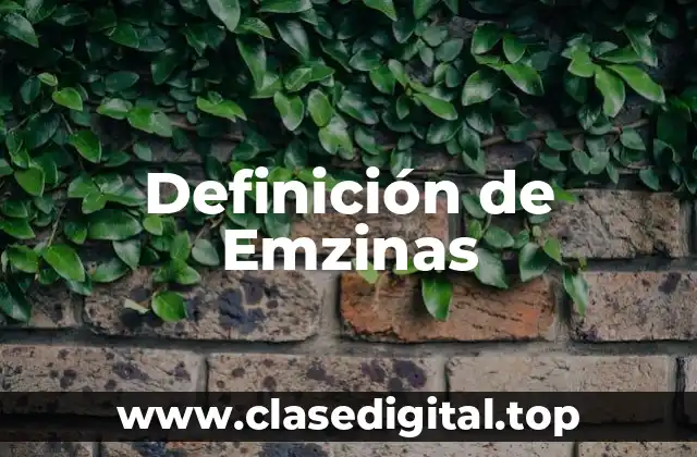 Definición de Emzinas