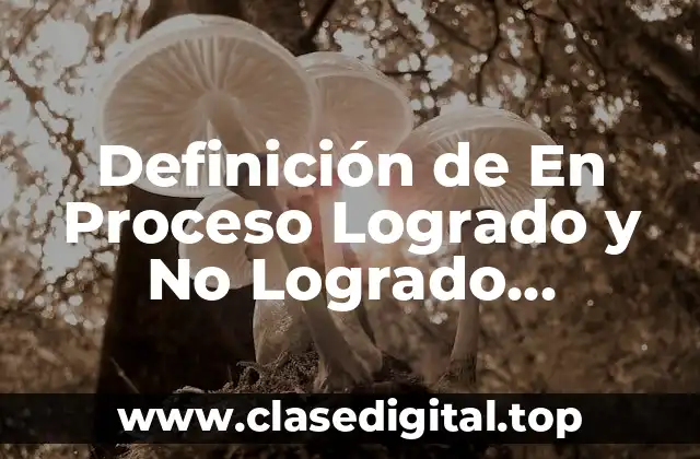 Definición de En Proceso Logrado y No Logrado Evaluación