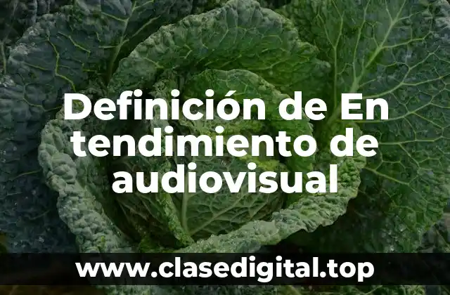 Definición de En tendimiento de audiovisual