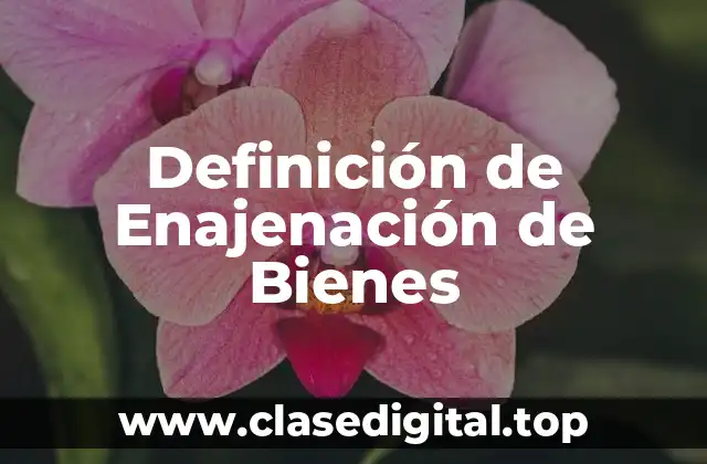 Definición de Enajenación de Bienes