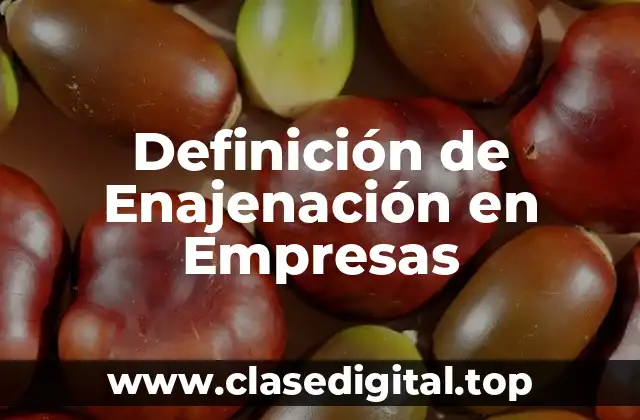 ✳️ Definición Técnica de Enajenación en Empresas