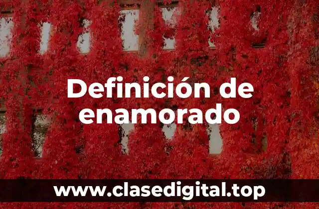 Definición de enamorado