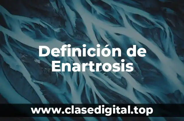 📗 Definición técnica de Enartrosis