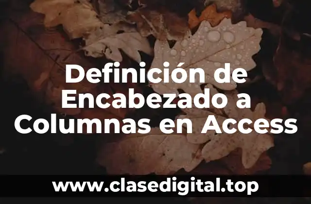 Definición de Encabezado a Columnas en Access
