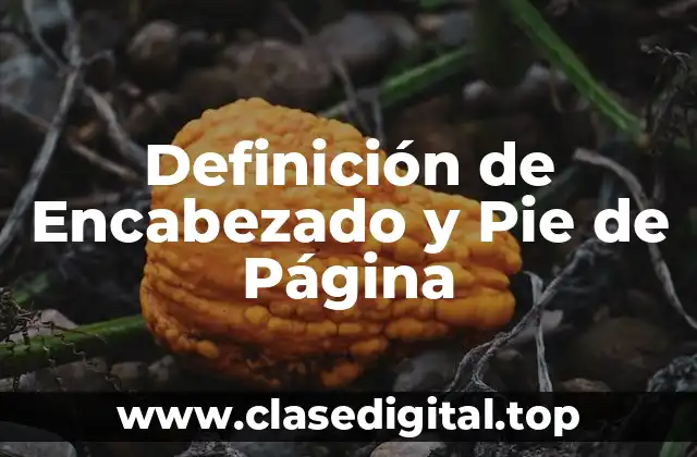 Definición de Encabezado y Pie de Página