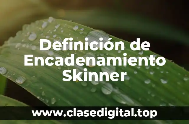 Definición de Encadenamiento Skinner