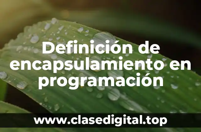 Ejemplos de encapsulamiento en programación